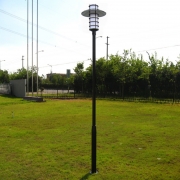 Village street beautification antenna